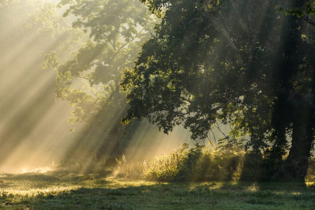 AdobeStock_232741074 AdobeStock 232741074 1024x684